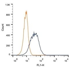 BubR1 Antibody (8G1) - Azide and BSA Free, Novus Biologicals 0.1 mL; Unconjugated:Antibodies,